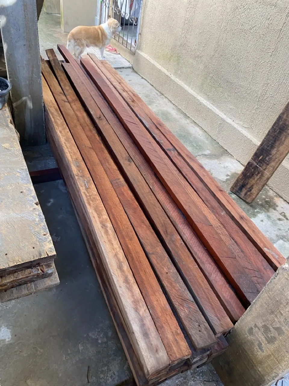 Pernamanca para construção