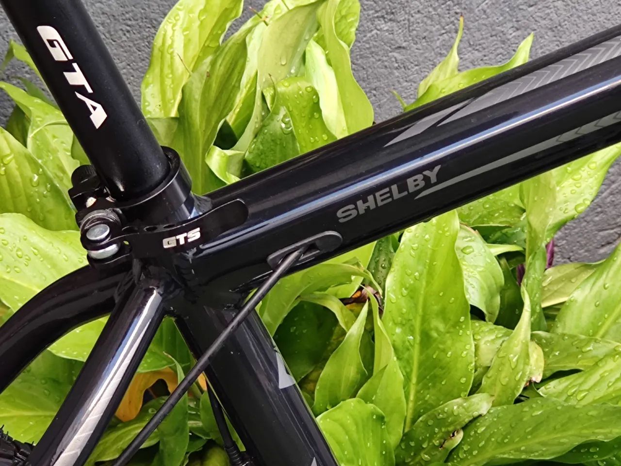 Bicicleta First Shelby Aro 29 2025 estado de okm - Foto 5