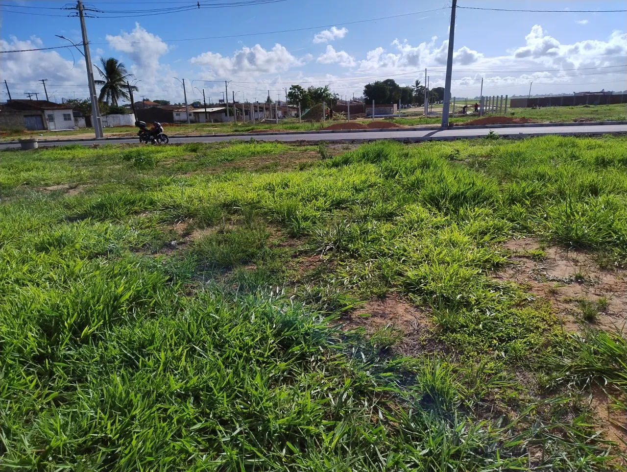 Terreno grande boriti, 8x20m. Qualquer dúvida chamar no chat