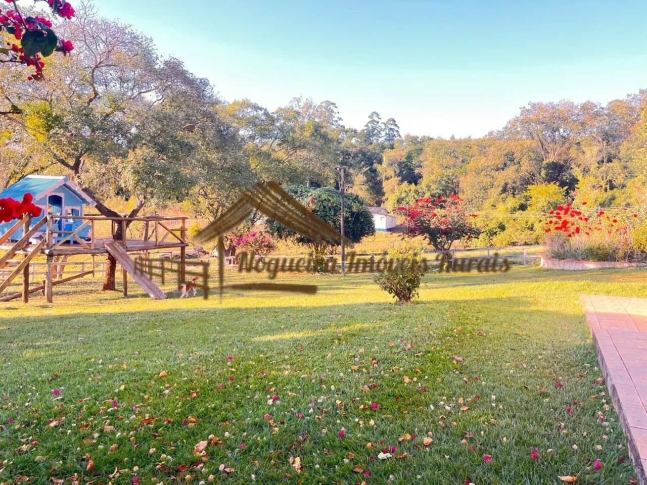 Sítio com 9,5 alqueires em Avaré-SP - Foto 13