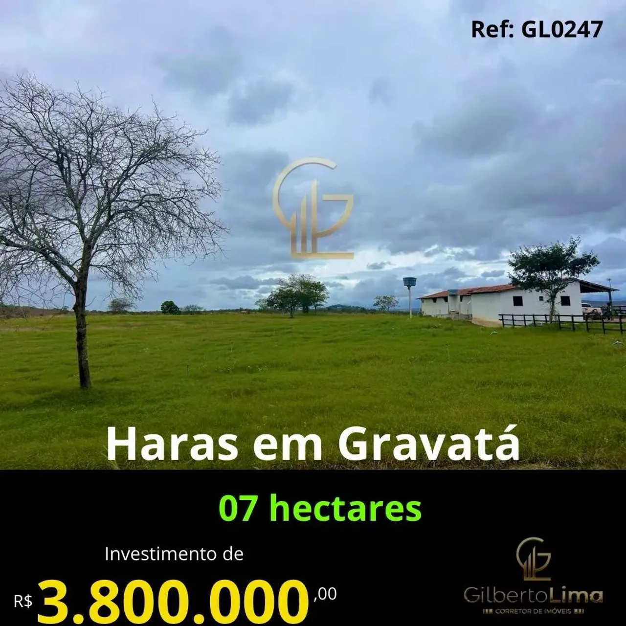 Haras em Gravatá