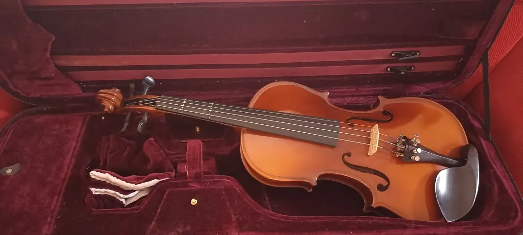 VIOLINO Michael 4/4 VNM47