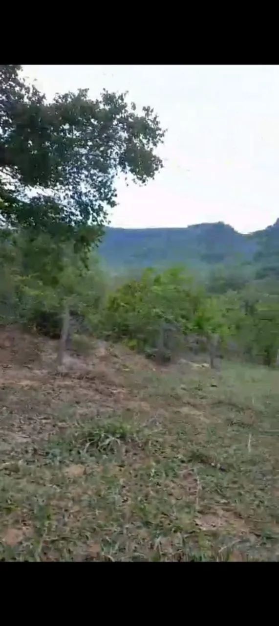 Vendo 97 hectares em Corguinho MS. - Foto 3