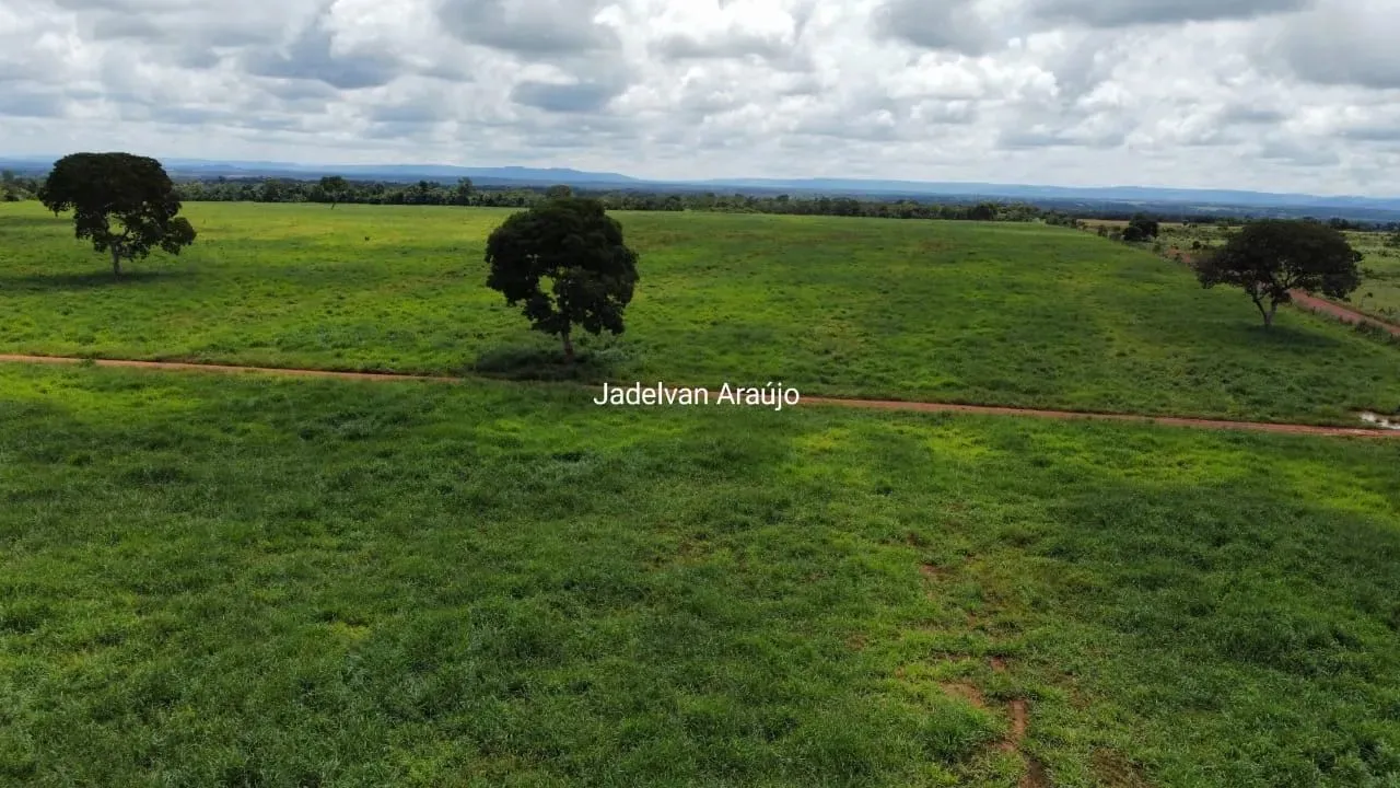 Fazenda de 39,5 alqueires vale do Araguaia