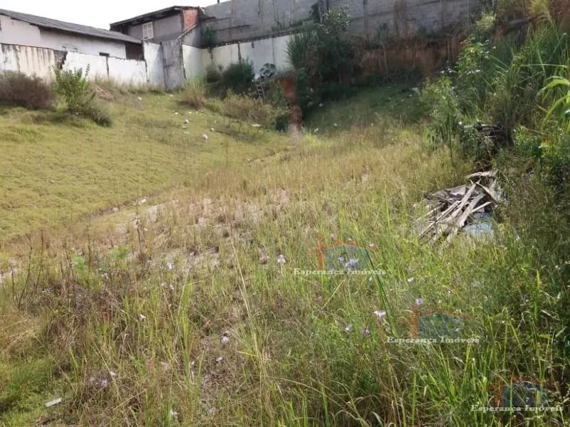 Residencial - Vila Osasco - Foto 3