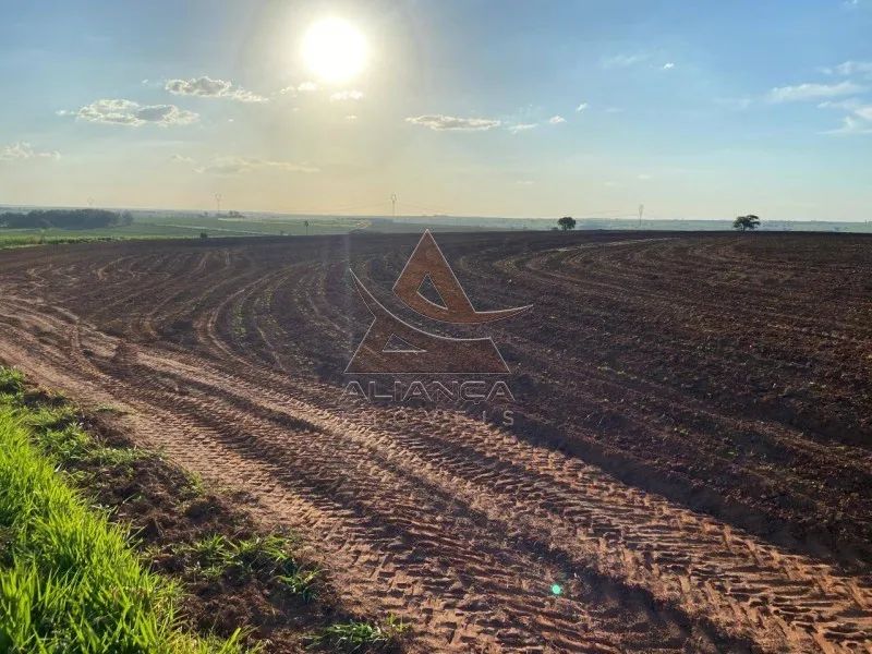 Fazenda - Echaporã - Zona Rural - Foto 4