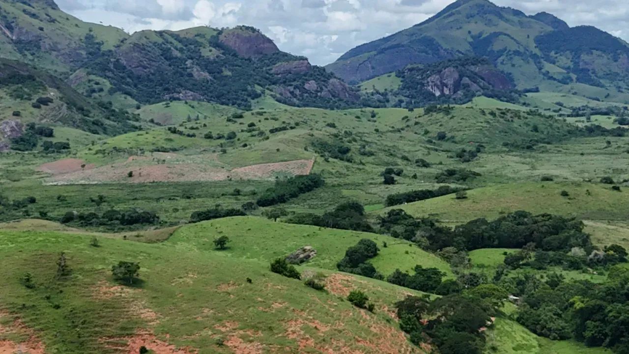 Oportunidade Única: Fazenda de Alta Produtividade agropecuária. - Foto 6
