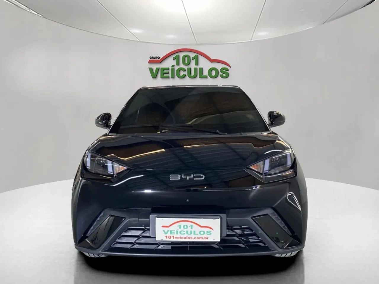 BYD Dolphin Mini (Elétrico) 2027 - Foto 2