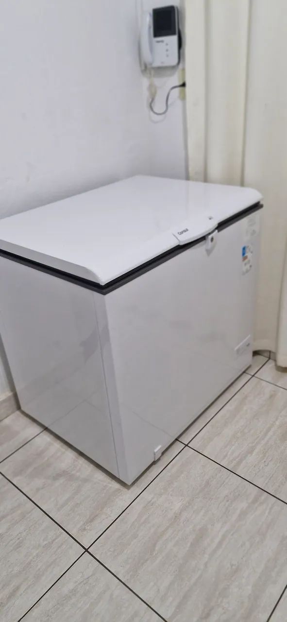 Frezze  consul
