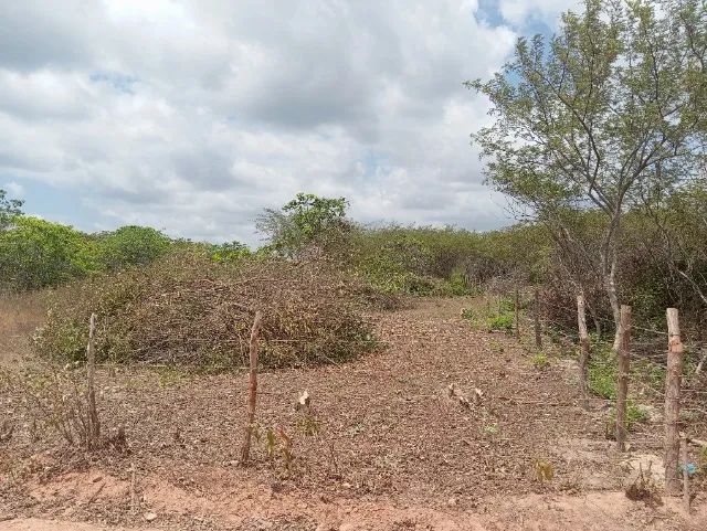 Terreno ideal para sítio ou chácara. - Foto 4