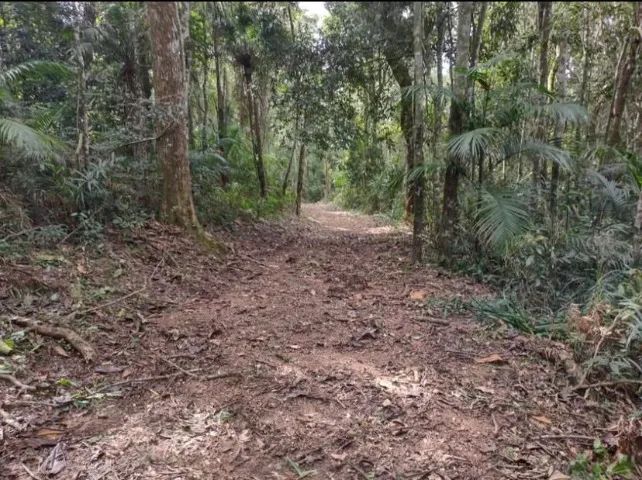 Foto - Mogi das Cruzes - Centro