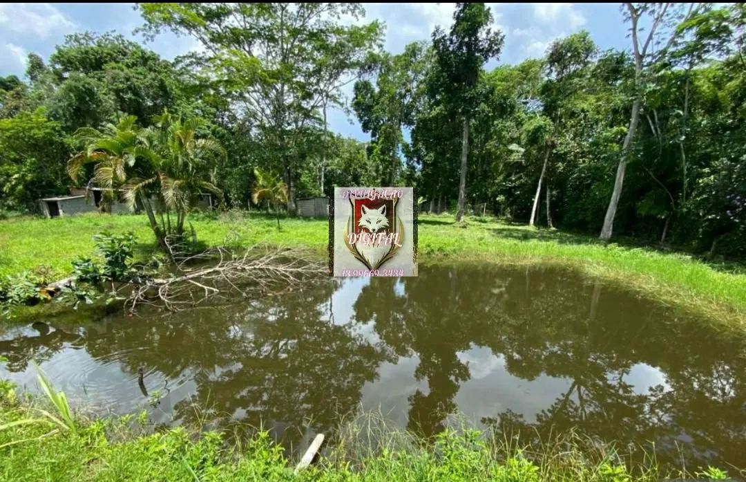 Chacara no gaivotas itanhaem - Foto 5