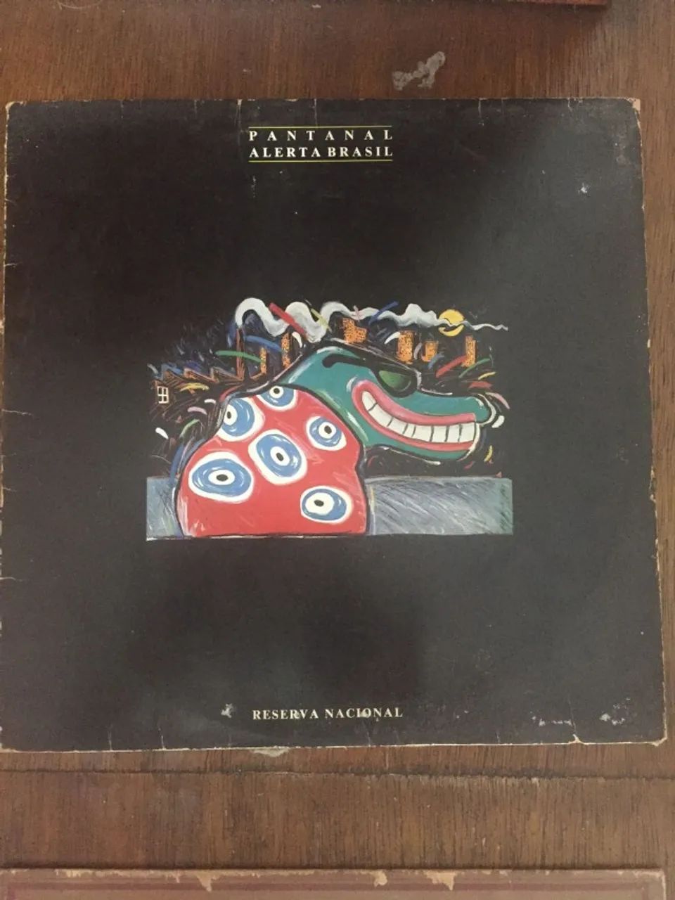 Discos LP clássicos do Pantanal