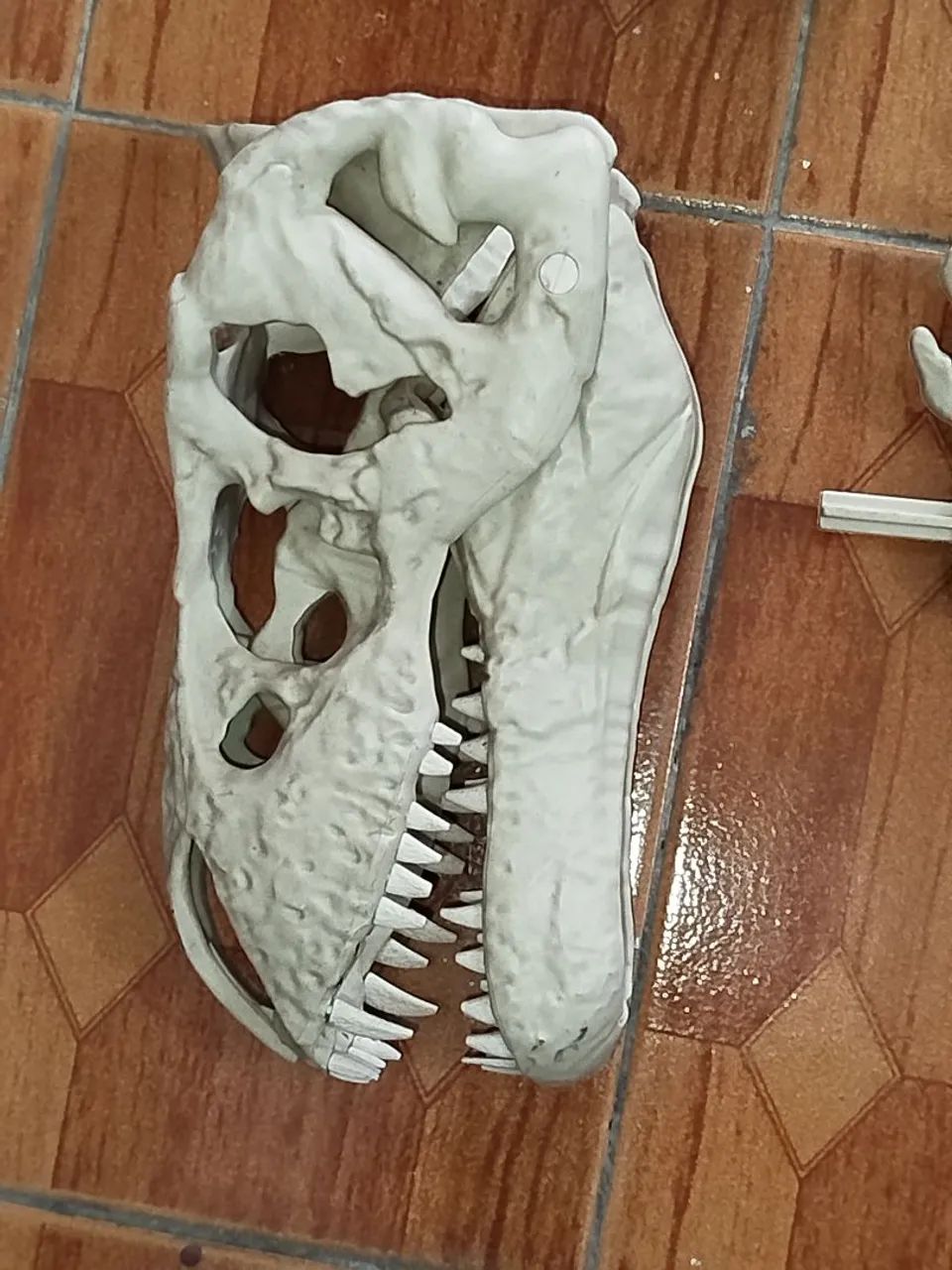 Coleção T-Rex RBA Incompleto  - Foto 5