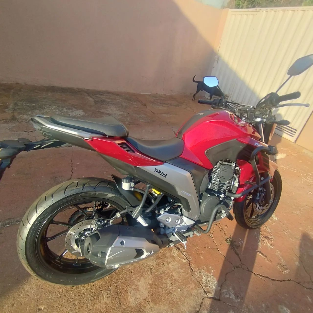 Fz250 - Foto 5