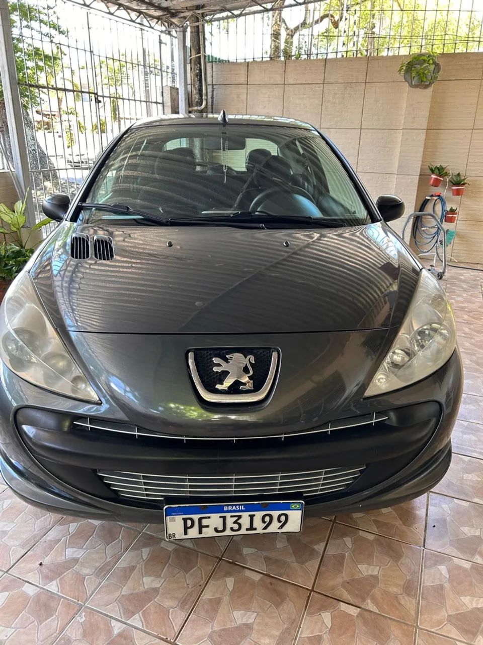 Peugeot 207 XR 1.4 FLEX 8V 3P 2011