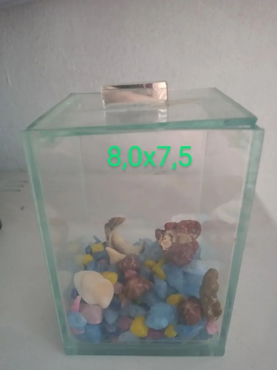 Mini Aquários  - Foto 2