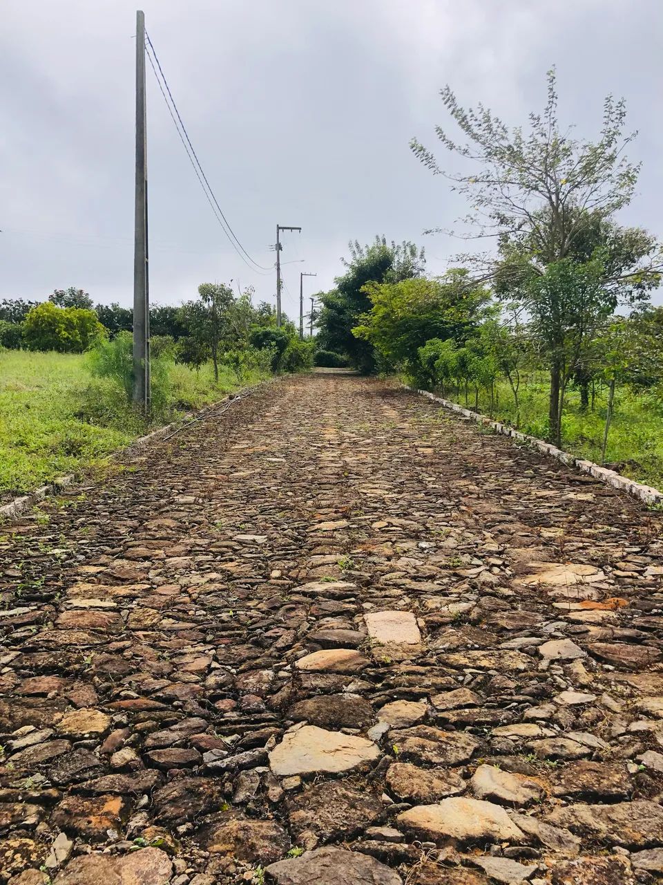 Terrenos em Triunfo-PE - Foto 5