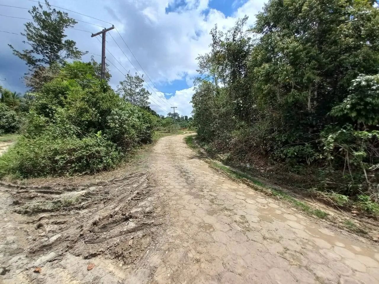 Terreno com igarapé para sitio, na BR 174, km 07, Amazonas - Foto 3