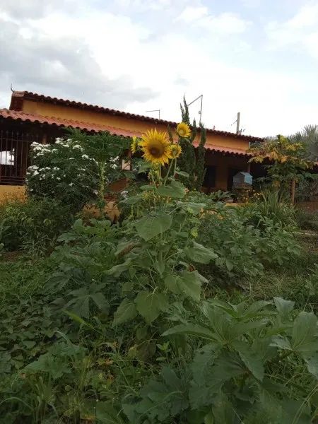 SITIO COM 5.000M2 LAGOA FUNDO - Foto 2