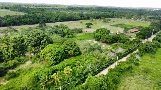 Granja com 12.6 hectares proximo a lagoa do Bonfim - Foto 2