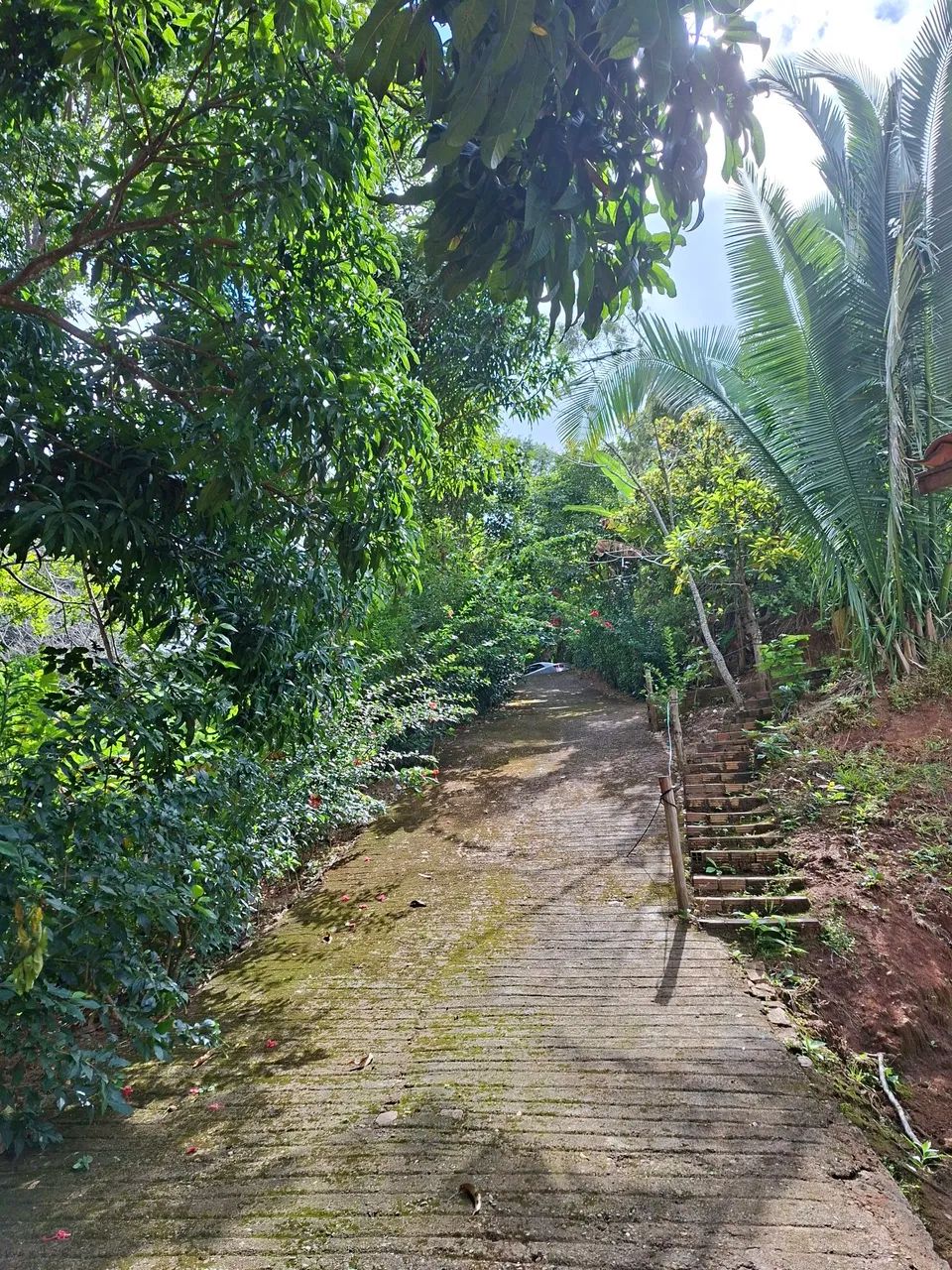 SITIO NO PACOTI - Foto 3