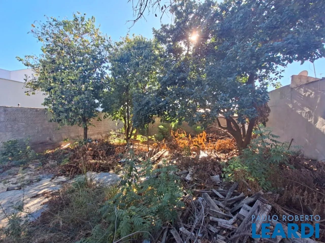 TERRENO - PLANALTO - MG - Foto 2