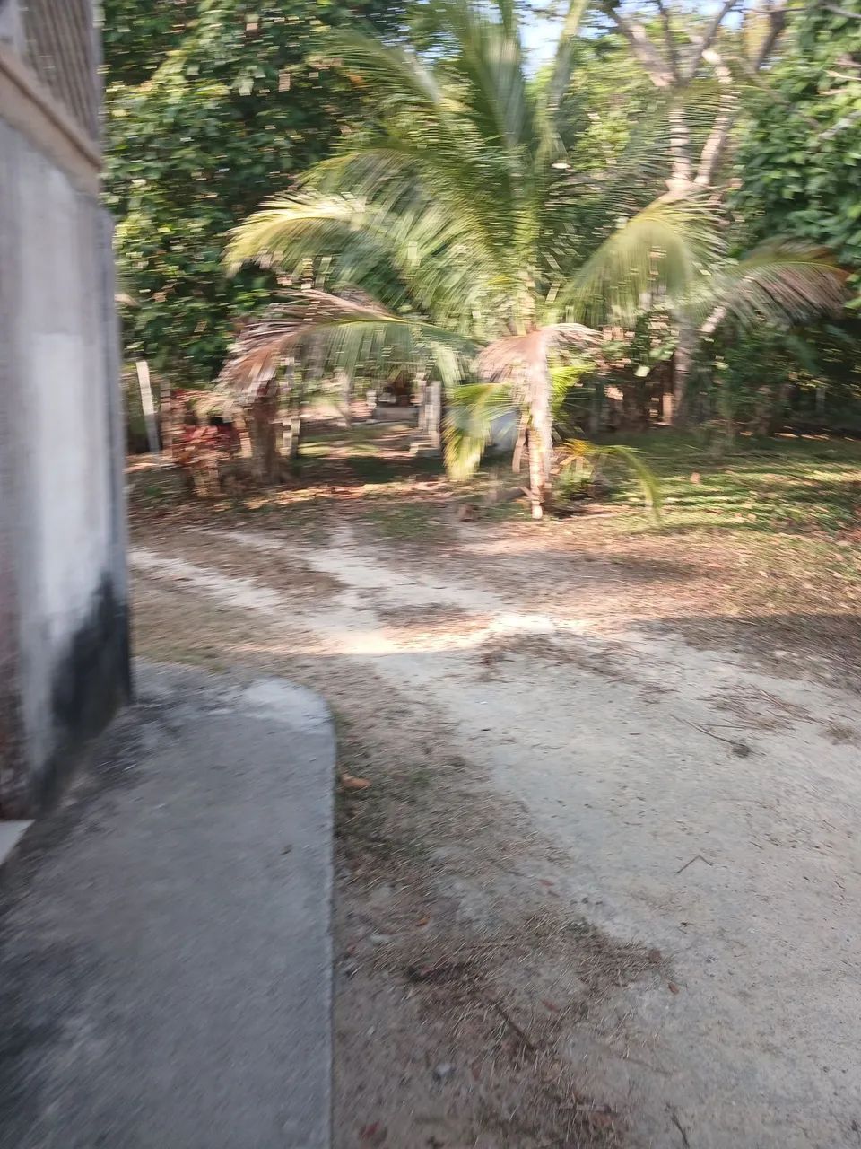 Contrato Trabalhador Rural