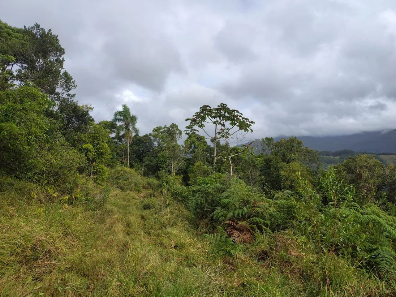 Terreno no Rio duna - Foto 3