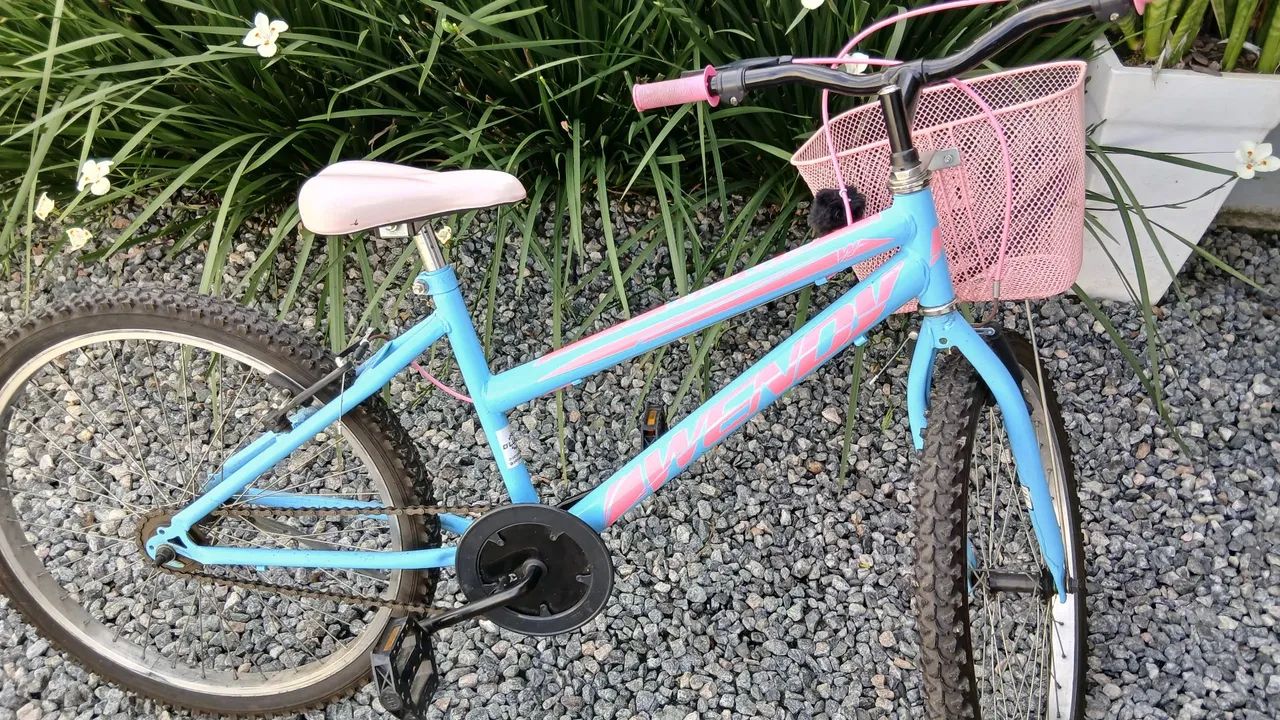 Bicicleta aro 24