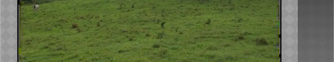 LOTEAMENTO PORTAL DA LAGOA - Foto 4
