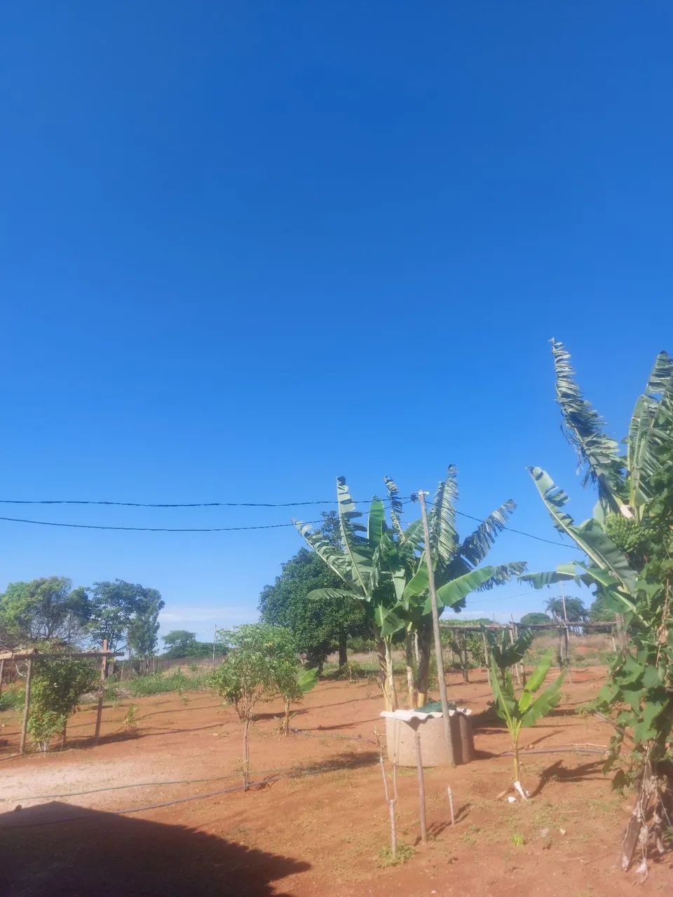Casal de caseiros 