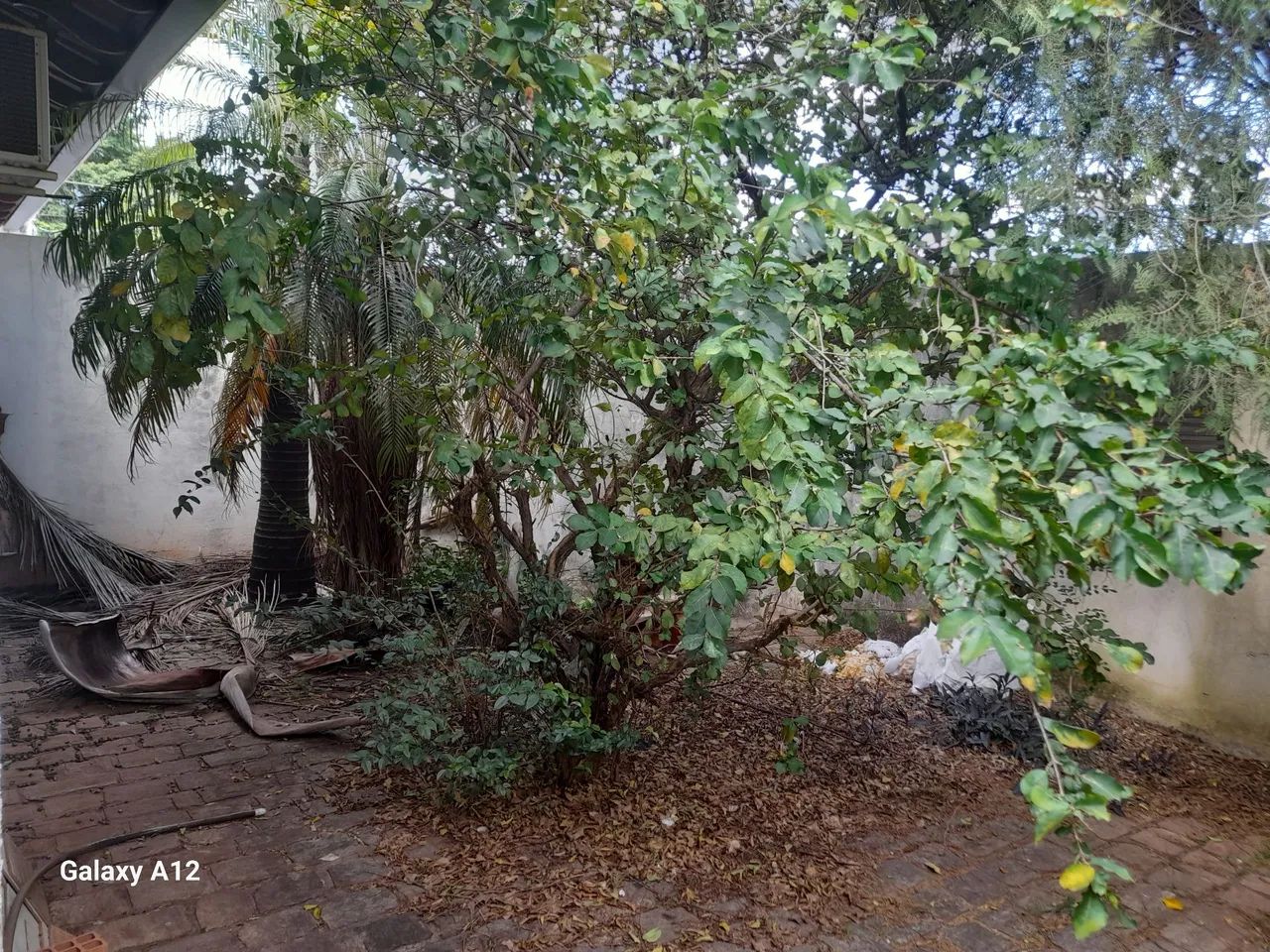 Jardinagens 
