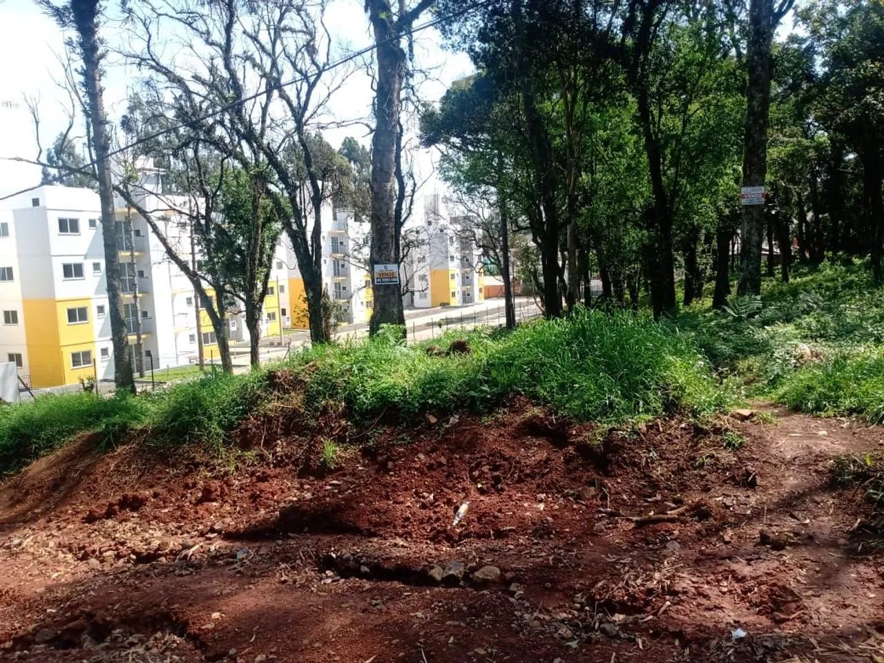 TERRENO EFAPI - Foto 2