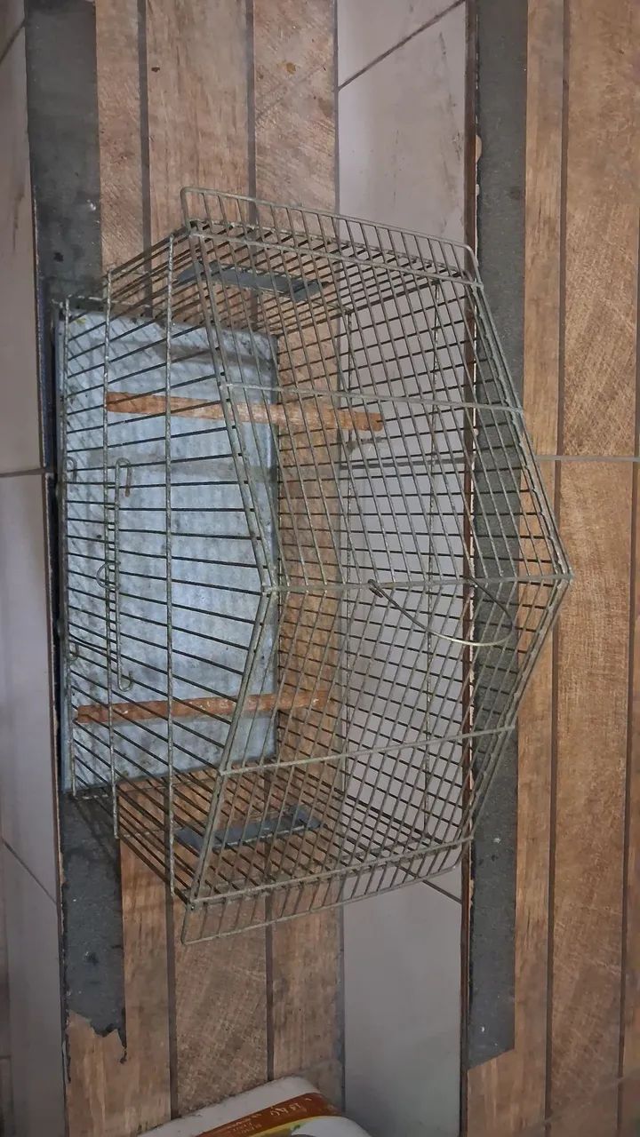 Gaiola para pássaros - Foto 2