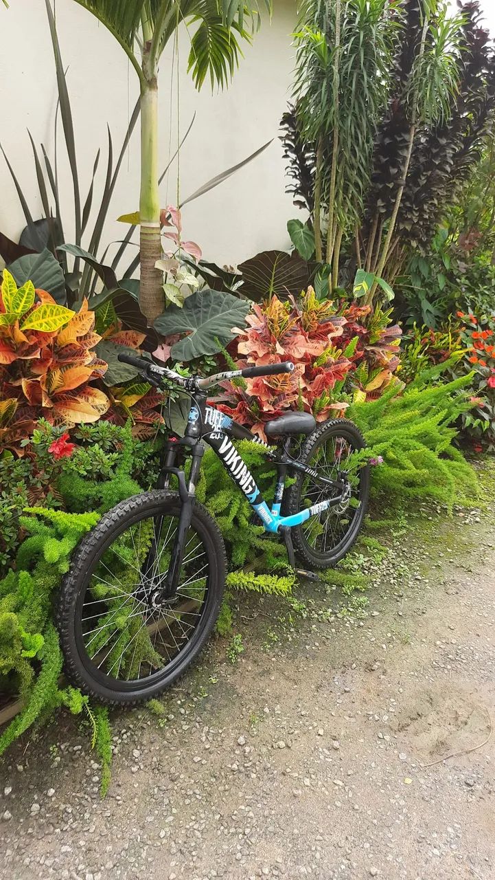 vikingX tuff 25