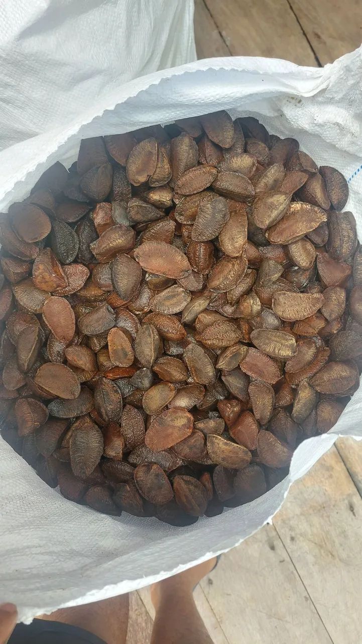Castanha  - Foto 3