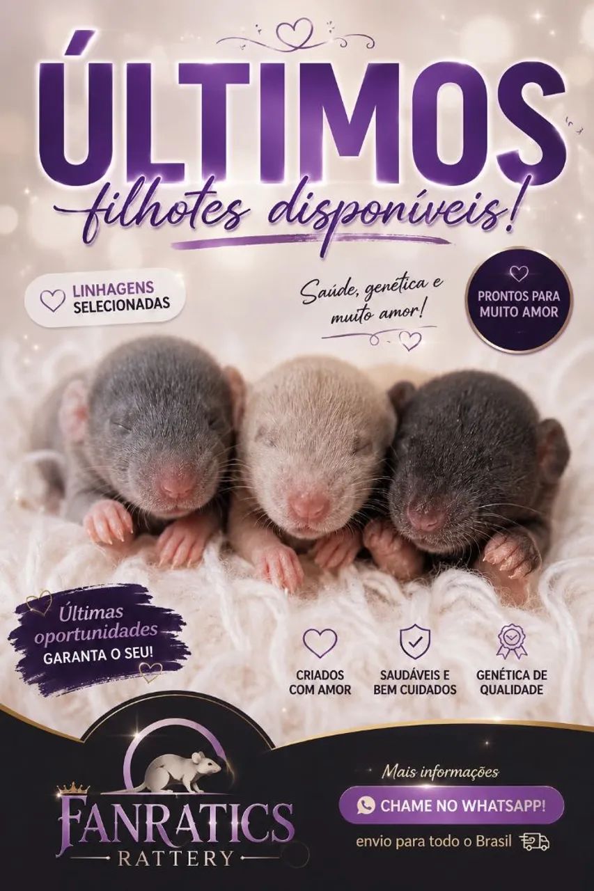 RATOS TWISTER-PARA RESERVA!