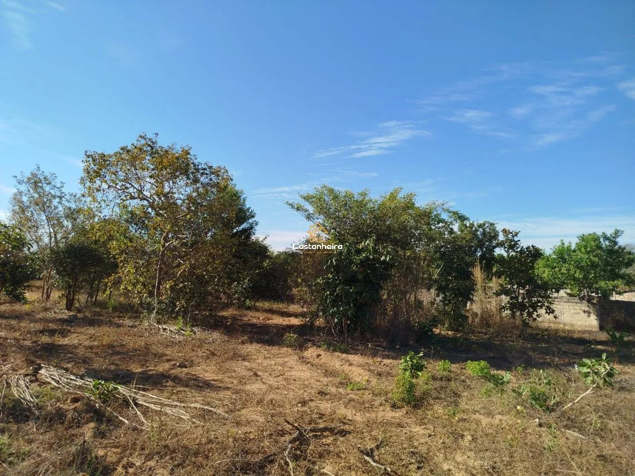 Chácara | Sítio - 4.550 m² - Expansão Sul - Taquari - Foto 5