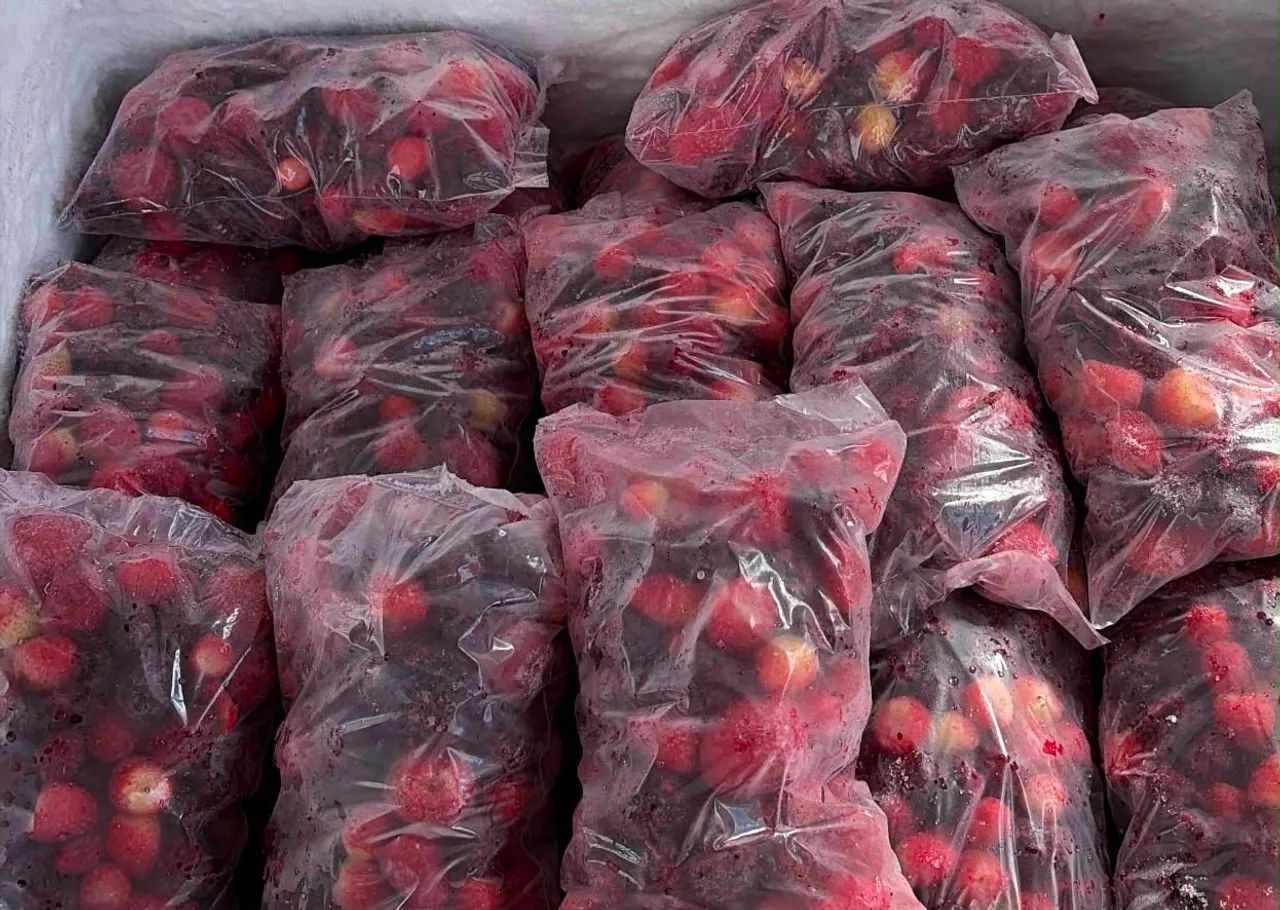 Morango congelado 