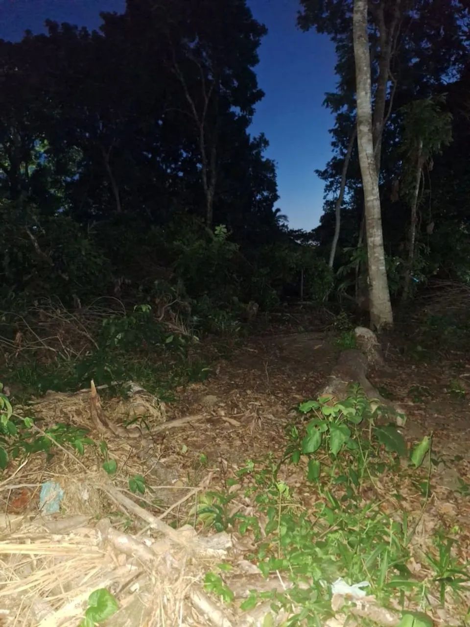 Vendo terreno 10x20,entrada e parcelas  - Foto 2