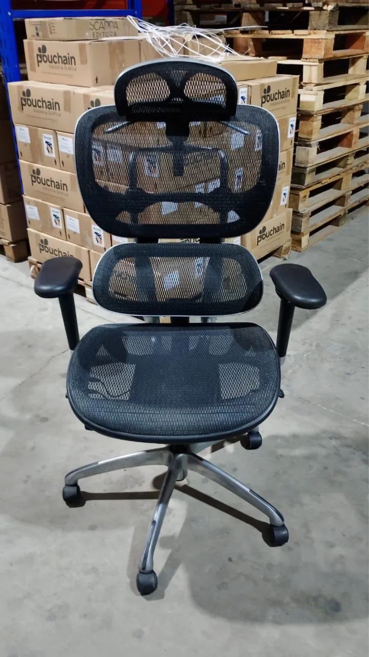 Executive Ergonomic Chair