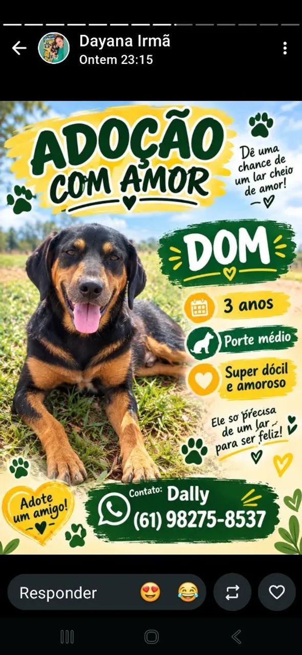 Cachorros para adoção responsável  - Foto 5