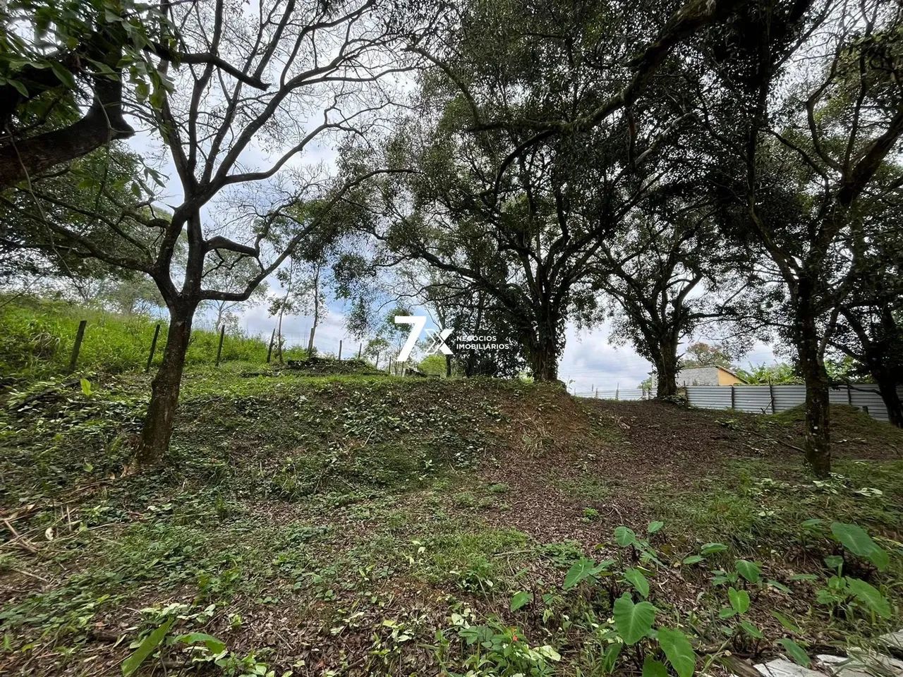 Terreno uso misto em Penedo - Foto 10