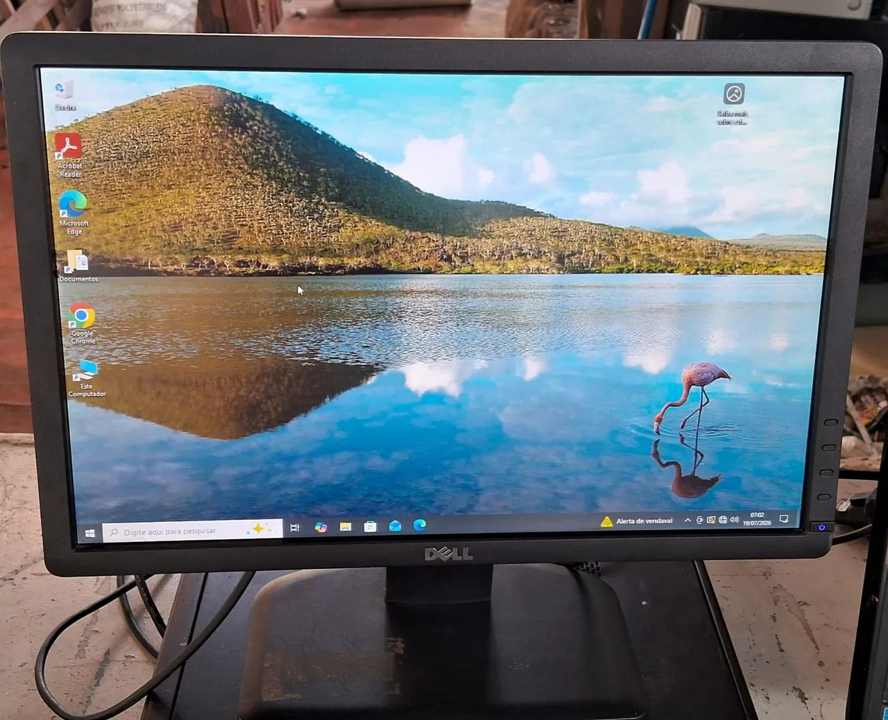 Monitor DELL 19