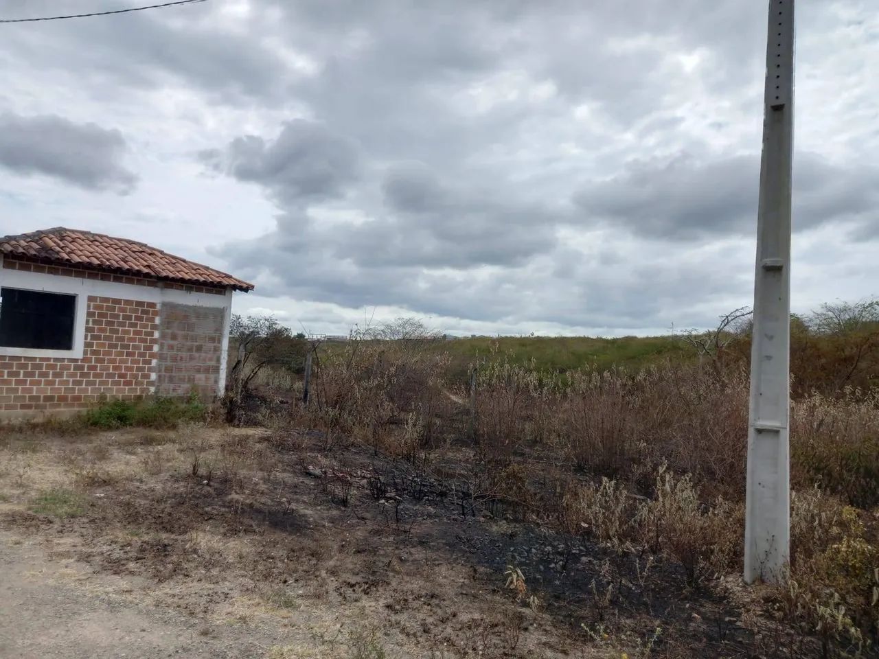 Area Industrial c/ Galpão - Foto 4