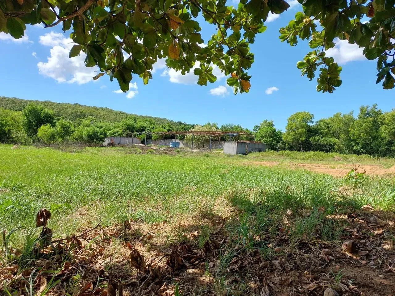 Vendo galpão em Guarapari - Foto 4