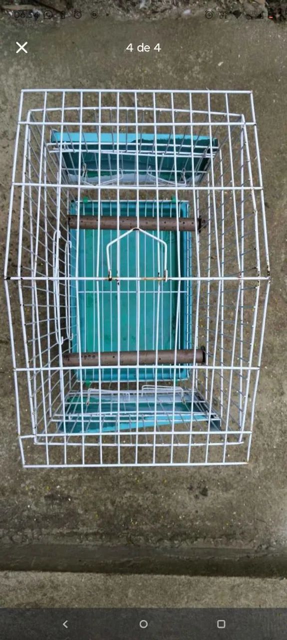 Gaiola calopsita  - Foto 4