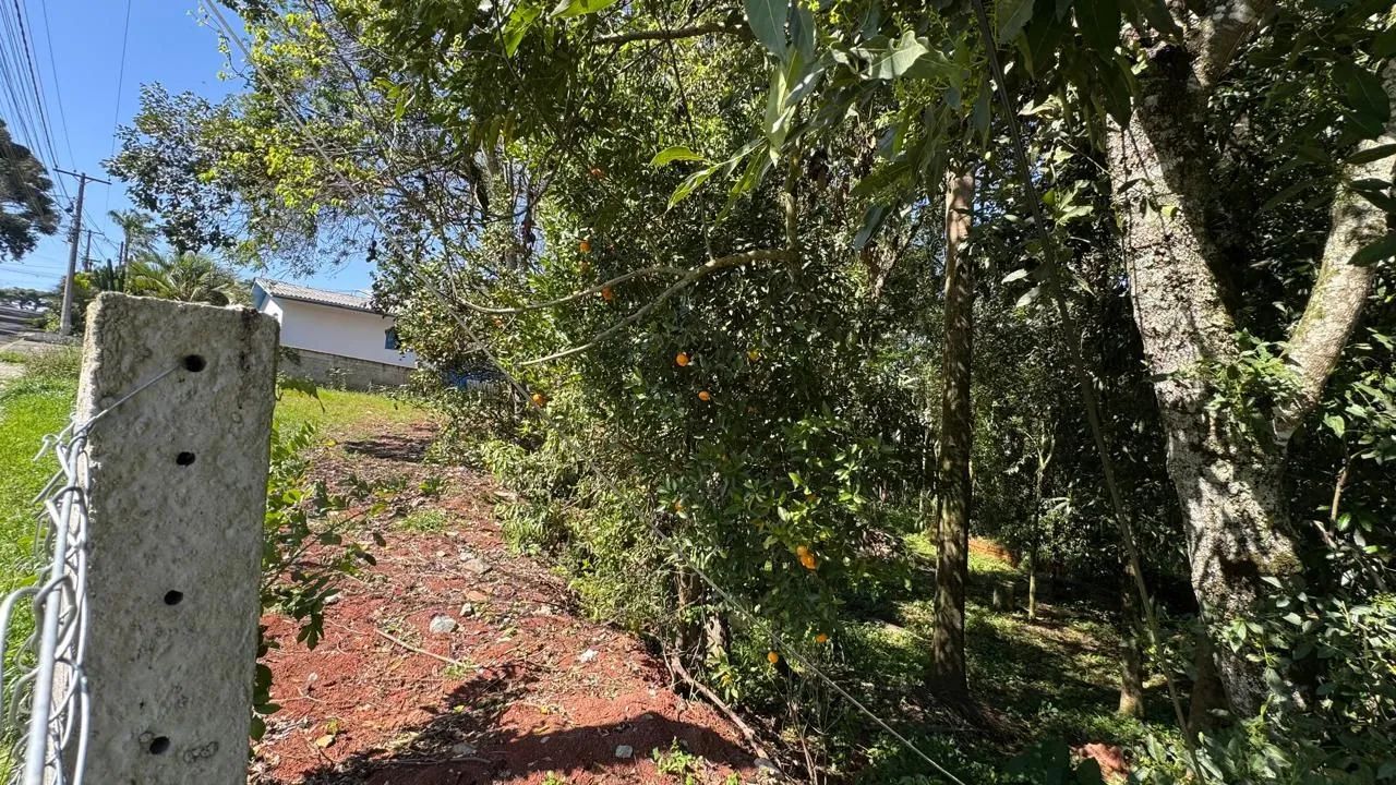 Terreno de 860m²  - Foto 5