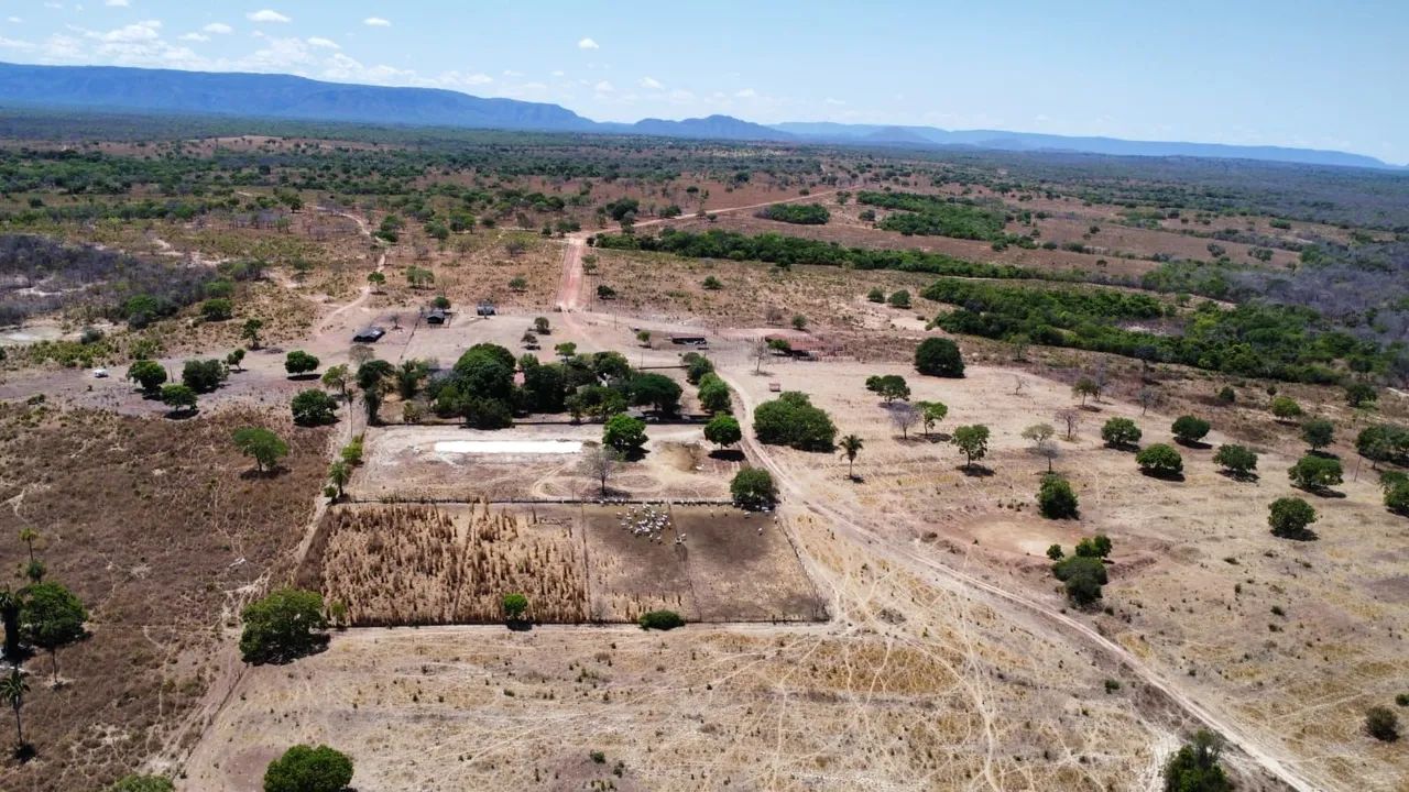 FAZENDA 5.372 HECTARES BAIXO PRA VENDER  - Foto 5